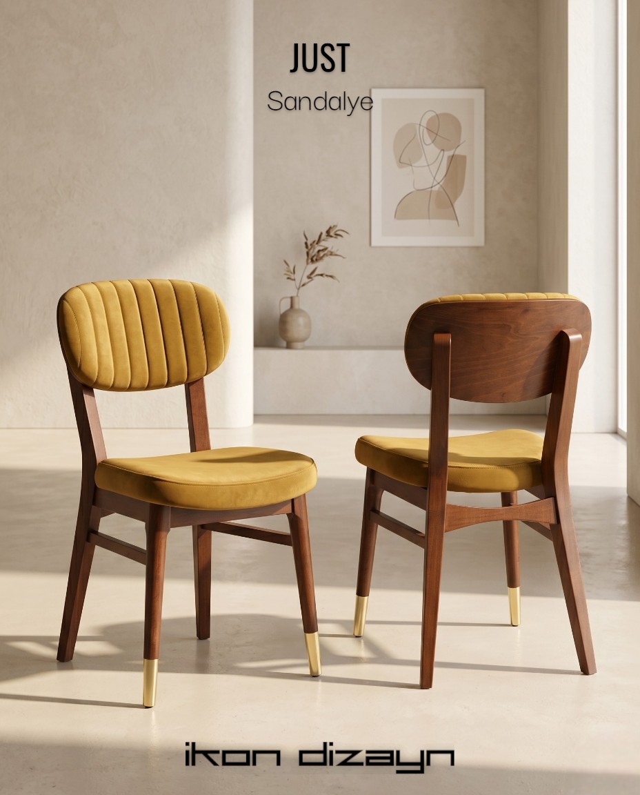 Just Sandalye